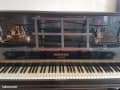Stima di Piano Pleyel Parigi N° 13 93 96 – Valutazione da parte di un Perito