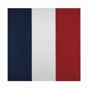 Drapeau Jean-Pierre Raynaud : perizia e stima Drapeau Jean-Pierre Raynaud : perizia e stima