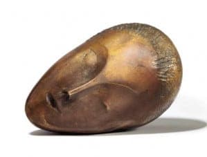 Constantin Brancusi H