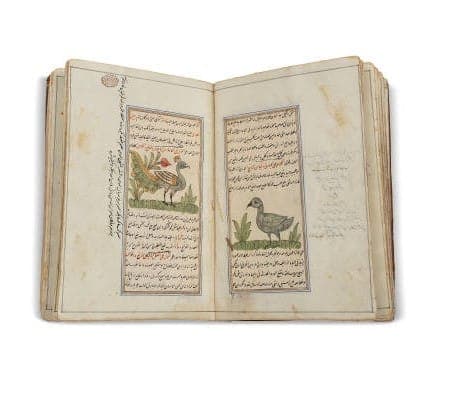 Stima libro illustrato gratuita