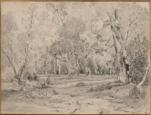 Disegno di Théodore Rousseau: stima gratuita Disegno di Théodore Rousseau: stima gratuita