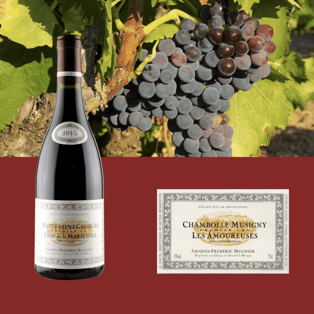 Vin Jacques-Frédéric Mugnier Vin Jacques-Frédéric Mugnier