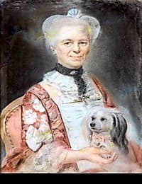 Stima d’Arte: Ritratto a Pastello di Anne Beliard in Compagnia del suo Cane, un’Opera Attribuita a Joseph Ducreux